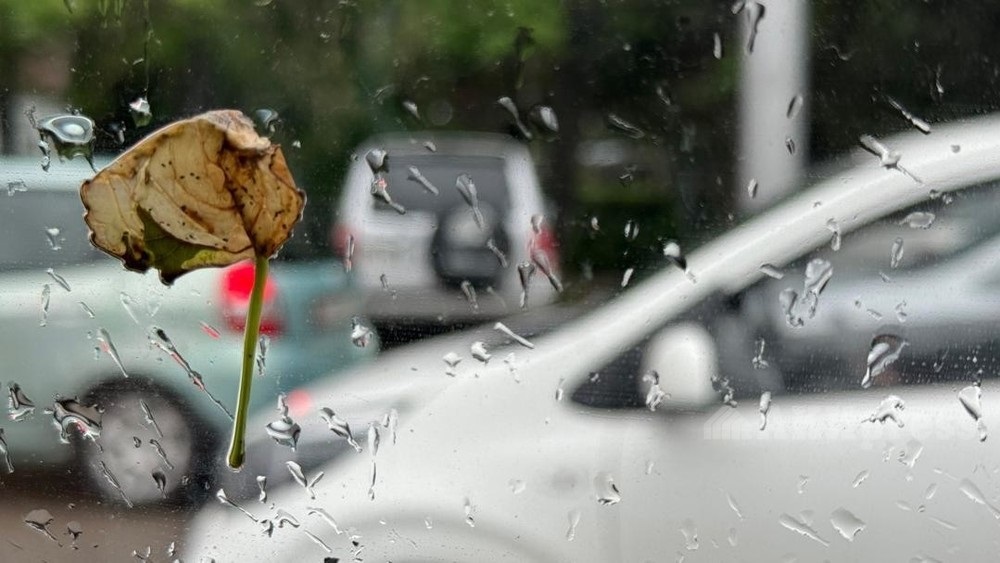 Дожди и грозы: синоптики предупреждают о погодных сюрпризах в ЗКО 18 октября